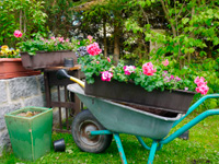 Garten und Landschaftspflege